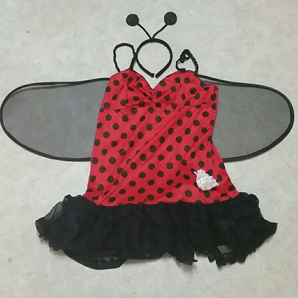 Womens ladybug costume